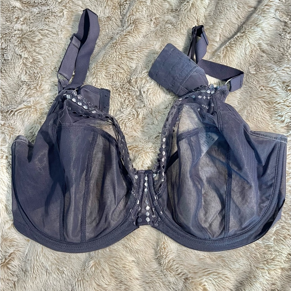 Elegant Sheer Bra